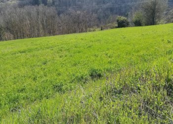 Foto 2 - Terreno edificabile Loc.Pescaia, Pratovecchio Stia - foto 2