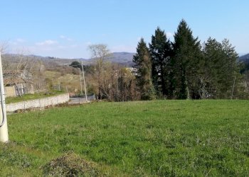 Foto 5 - Terreno edificabile Loc.Pescaia, Pratovecchio Stia - foto 5