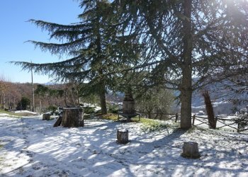 Foto 23 - Casa semi indipendente QUORLE LOC RENACCIO
 
13A, Poppi - foto 23