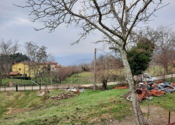 Foto 3 - Terreno edificabile Loc. Lonnano, Pratovecchio Stia - foto 3