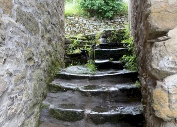 Foto 30 - Casa semi indipendente Loc. Vertelli
 
3, Castel San Niccolò - foto 30