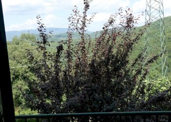 Foto 3 - Casa indipendente pieve di pontenano
 
60, Talla - foto 3