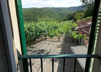 Foto 12 - Casa indipendente pieve di pontenano
 
60, Talla - foto 12