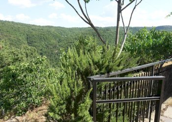 Foto 25 - Casa indipendente pieve di pontenano
 
60, Talla - foto 25