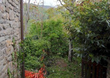 Foto 6 - Casa semi indipendente Monte Borgnoli, Ortignano Raggiolo - foto 6