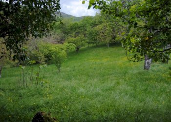 Foto 8 - Casa semi indipendente Monte Borgnoli, Ortignano Raggiolo - foto 8