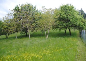 Foto 9 - Casa semi indipendente Monte Borgnoli, Ortignano Raggiolo - foto 9