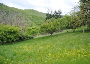 Foto 10 - Casa semi indipendente Monte Borgnoli, Ortignano Raggiolo - foto 10