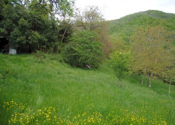 Foto 12 - Casa semi indipendente Monte Borgnoli, Ortignano Raggiolo - foto 12