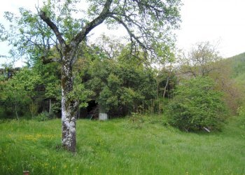 Foto 13 - Casa semi indipendente Monte Borgnoli, Ortignano Raggiolo - foto 13