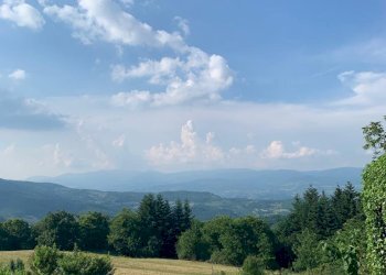 Foto 71 - Casa semi indipendente Monte Borgnoli, Ortignano Raggiolo - foto 71