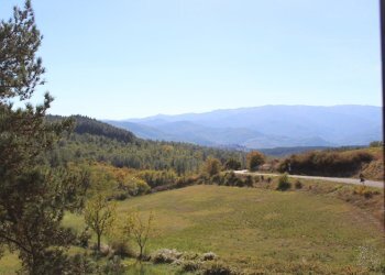 Foto 19 - Casa semi indipendente loc. Bivio di Banzena
 
65, Bibbiena - foto 19