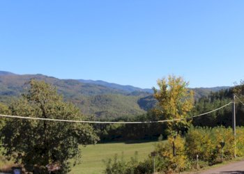 Foto 22 - Casa semi indipendente loc. Bivio di Banzena
 
65, Bibbiena - foto 22