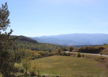 Foto 23 - Casa semi indipendente loc. Bivio di Banzena
 
65, Bibbiena - foto 23