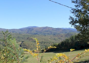 Foto 34 - Casa semi indipendente loc. Bivio di Banzena
 
65, Bibbiena - foto 34