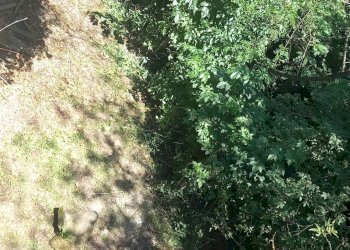 Foto 7 - Casa indipendente via cartiera, Pratovecchio Stia - foto 7