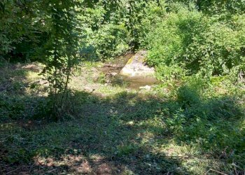 Foto 24 - Casa indipendente via cartiera, Pratovecchio Stia - foto 24