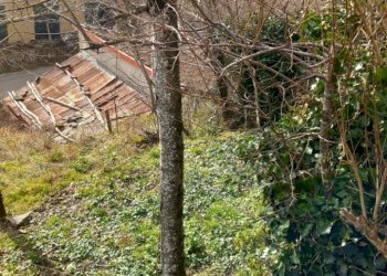 Foto 4 - Casa indipendente via la casina
 
25, Poppi - foto 4