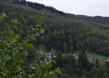 Foto 51 - Casa indipendente via la casina
 
25, Poppi - foto 51