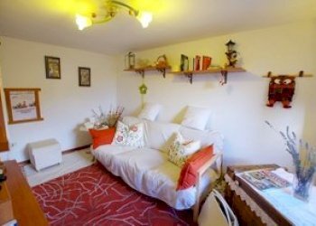 Foto 19 - Casa semi indipendente Località Santa Maria a Cetica Massetto
 
7, Castel San Niccolò - foto 19