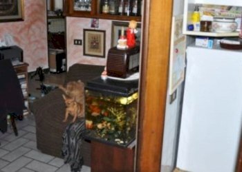 Foto 6 - Casa semi indipendente VIA BORGUCCIO
 
12, Castel Focognano - foto 6