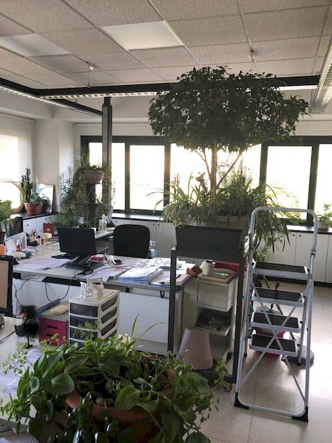 Foto 1 - Capannone via dei Guazzi
 
12, Poppi - foto 1