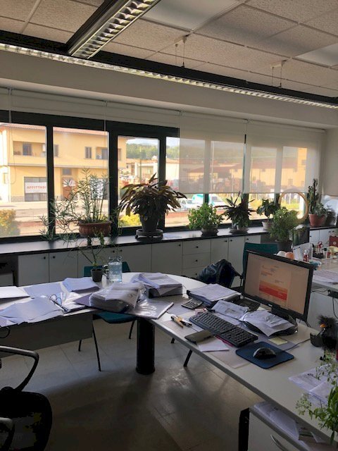 Foto 2 - Capannone via dei Guazzi
 
12, Poppi - foto 2