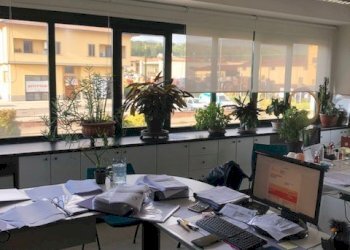 Foto 2 - Capannone via dei Guazzi
 
12, Poppi - foto 2