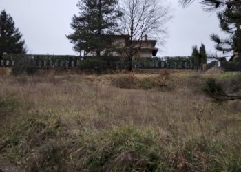 Foto 4 - Terreno edificabile via Sandro Pertini, Bibbiena - foto 4