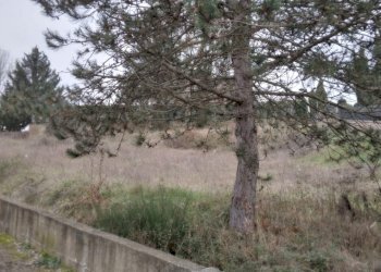 Foto 5 - Terreno edificabile via Sandro Pertini, Bibbiena - foto 5