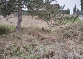 Foto 6 - Terreno edificabile via Sandro Pertini, Bibbiena - foto 6