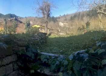 Foto 5 - Casa semi indipendente località Doccia
 
snc, Castel San Niccolò - foto 5