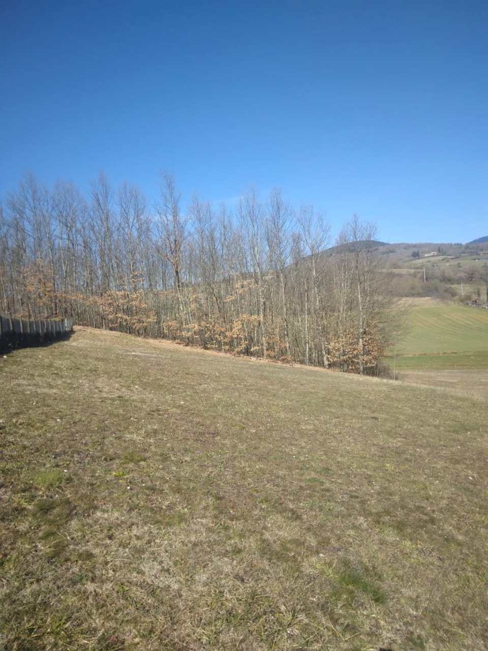 Foto 2 - Terreno edificabile VIA GUAZZI
 
SNC, Bibbiena - foto 2