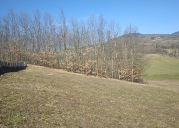 Foto 2 - Terreno edificabile VIA GUAZZI
 
SNC, Bibbiena - foto 2