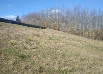 Foto 5 - Terreno edificabile VIA GUAZZI
 
SNC, Bibbiena - foto 5