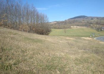 Foto 6 - Terreno edificabile VIA GUAZZI
 
SNC, Bibbiena - foto 6