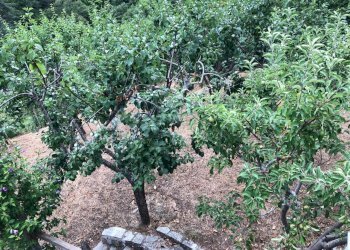 Foto 9 - Independent house località le Terracce, Bibbiena - photo 9