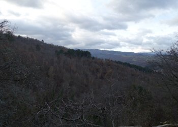 Foto 33 - Villa Località Filetto
 
4, Poppi - foto 33