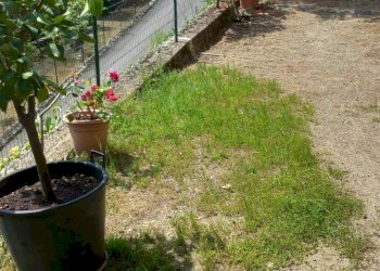 Foto 7 - Casa indipendente via Sante Bucciarelli
 
2, Talla - foto 7