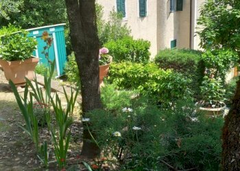 Foto 10 - Casa indipendente via Sante Bucciarelli
 
2, Talla - foto 10