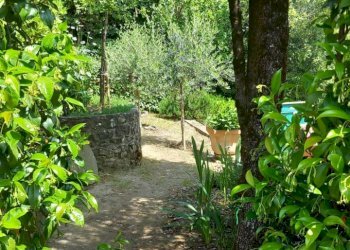 Foto 11 - Casa indipendente via Sante Bucciarelli
 
2, Talla - foto 11