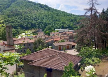 Foto 20 - Casa indipendente via Sante Bucciarelli
 
2, Talla - foto 20