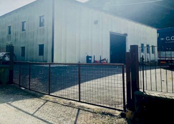 Foto 2 - Capannone Via San Francesco
 
1, Bibbiena - foto 2