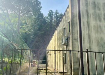 Foto 5 - Capannone Via San Francesco
 
1, Bibbiena - foto 5