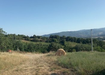 Foto 5 - Rustico Località Marciano, Bibbiena - foto 5