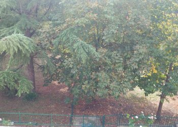 Foto 8 - Appartamento via della fornace
 
12, Bibbiena - foto 8