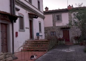 Foto 1 - Trilocale s.c. delle Macee
 
54/B, Ortignano Raggiolo - foto 1