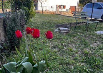 Foto 58 - Quadrilocale via di Bicciano
 
3, Talla - foto 58