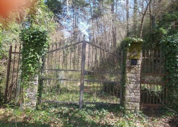 Foto 3 - Casa indipendente VIA CASTELLO
 
106, Castel San Niccolò - foto 3