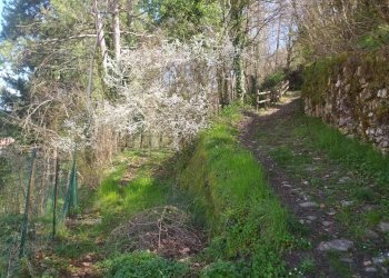 Foto 4 - Casa indipendente VIA CASTELLO
 
106, Castel San Niccolò - foto 4